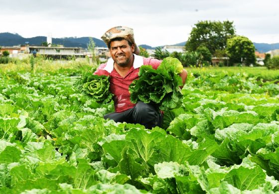 Andradina, Ilha Solteira e Penápolis participam do Programa Feira do Produtor Rural 