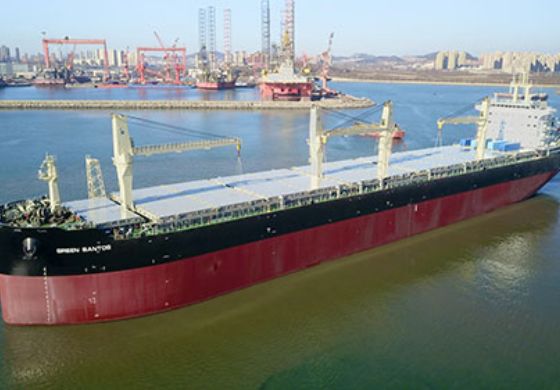 Suzano recebe da Cosco Shipping navio especializado para o transporte de celulose