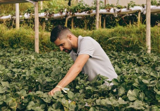 Sindicato Rural de Andradina capacita 16 produtores através do programa Feira do Produtor Rural