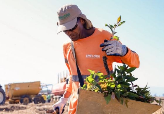 Emflora oferece 5 vagas de emprego em Três Lagoas (MS)