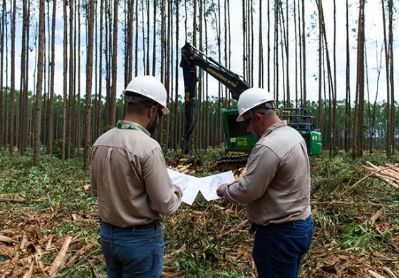 Eldorado Brasil inicia 2025 com Feirão de Empregos em Inocência e Três Lagoas (MS)