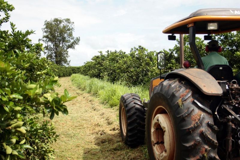 São Paulo foi responsável por 18,6% das exportações do agronegócio brasileiro em 2024. Foto: Governo de SP