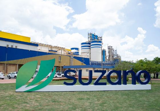 Suzano tem 4 vagas abertas em Três Lagoas (MS)