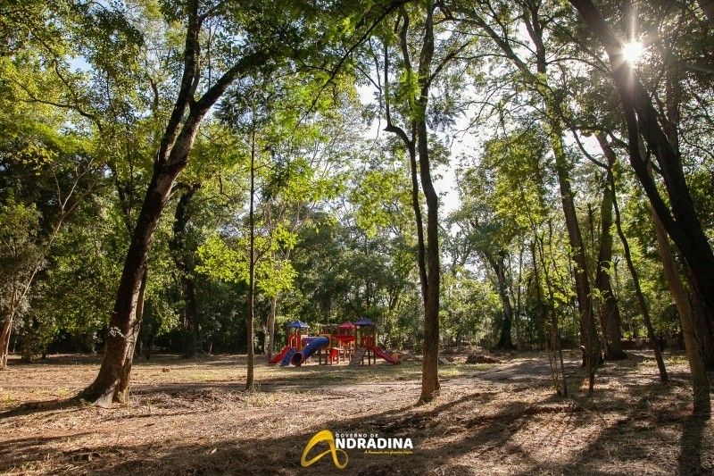 Governador Tarcísio assina convênio de mais de R$ 1 milhão para revitalização do Bosque Municipal de Andradina - Bosque em Andradina - Foto: Divulgação/Prefeitura