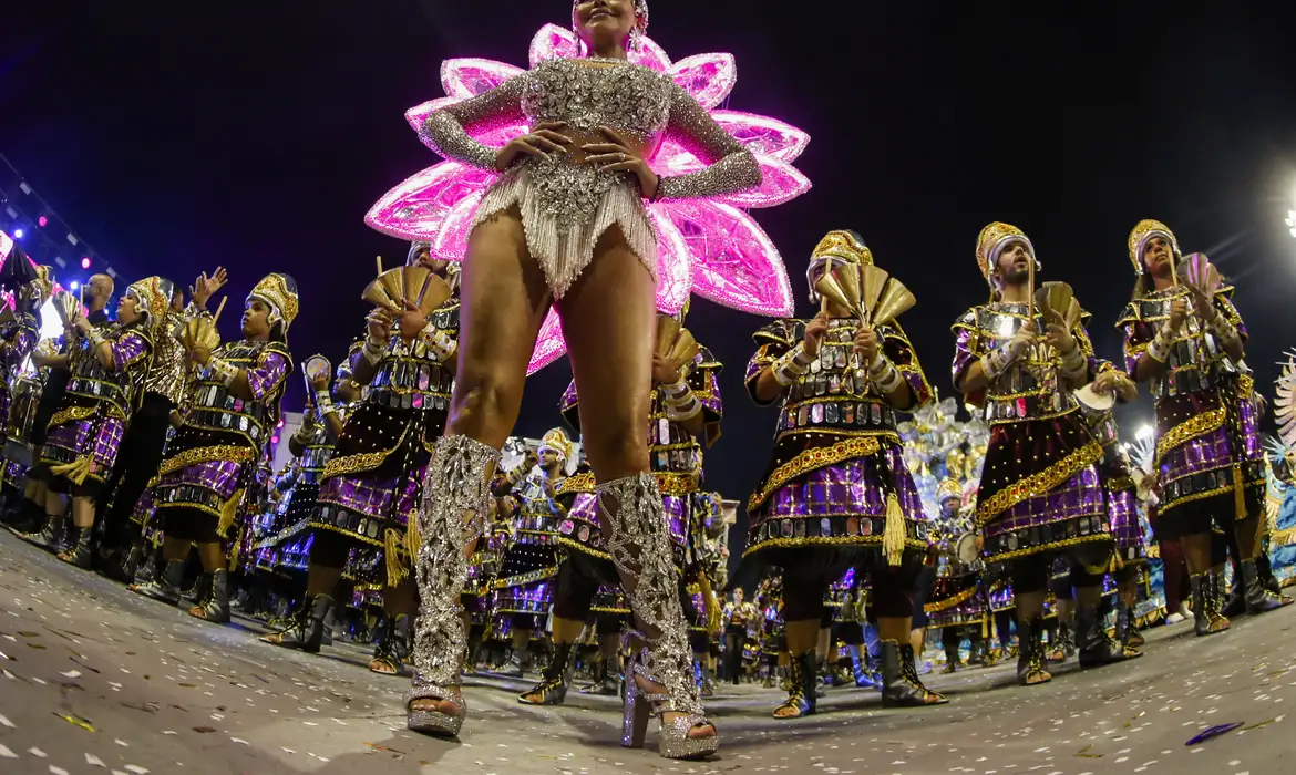 Onde Assistir ao Desfile das Escolas de Samba Campeãs do Carnaval de São Paulo 2025 - Desfile das campeãs 2025 São Paulo - Paulo Pinto/Agência Brasi