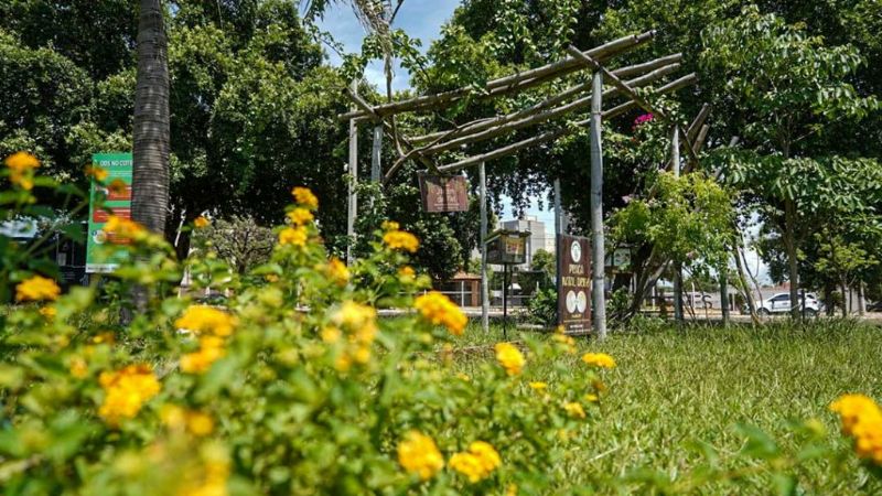 Espaços Verdes em Araçatuba (SP) - Foto: Divulgação/Prefeitura