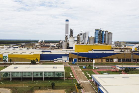 Suzano abre vagas em Ribas do Rio Pardo e Três Lagoas com inscrições até junho