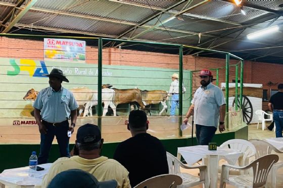 Leilão de Gado do Sindicato Rural de Andradina movimenta o agronegócio regional todas as segundas-feiras