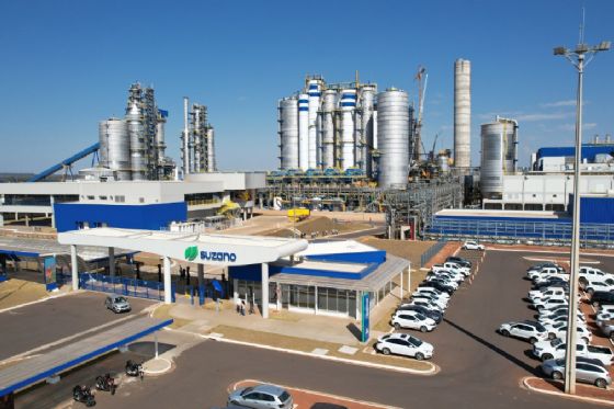 Suzano abre vagas em Água Clara, Bataguassu, Brasilândia e Ribas do Rio Pardo (MS)