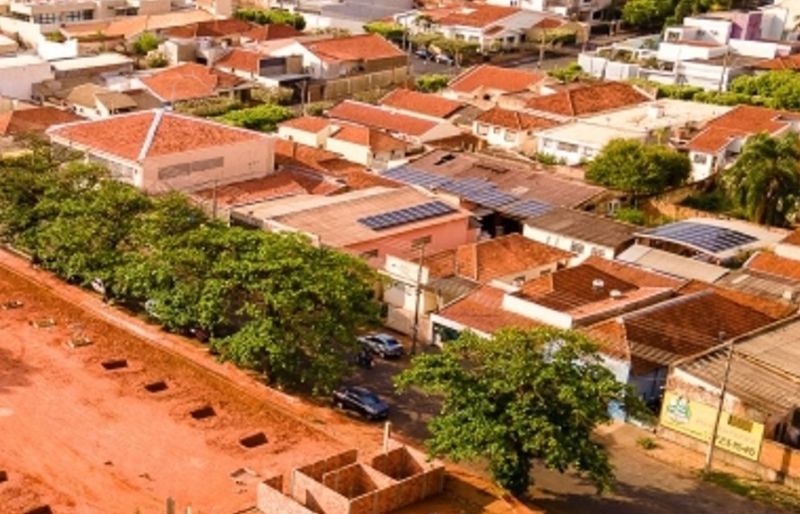 Andradina vai retirar árvores da espécie 'Sete Copas' ao lado do Mercadão por risco de queda - “Sete Copas” serão substituídas por outras espécies Andradina vai retirar árvores da espécie 'Sete Copas' ao lado do Mercadão por risco de queda - “Sete Copas” serão substituídas por outras espécies
