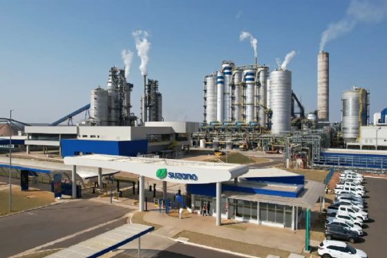 Vagas de emprego Suzano Três Lagoas: 45 vagas para operador de máquina florestal