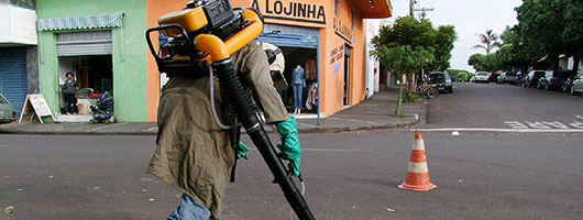Andradina em estado de alerta por causa da Dengue 