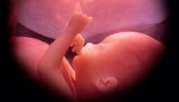 Pesquisa revela que uma em cada sete brasileiras já abortou 