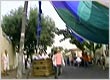 Cinegrafista flagra acidente de balão