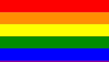 Casais gays podem ter parceiro como dependente em plano de saúde