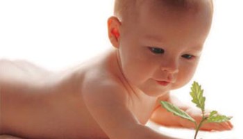 Bebês nascidos no inverno têm mais alergia