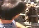 Nunca discuta com um bode