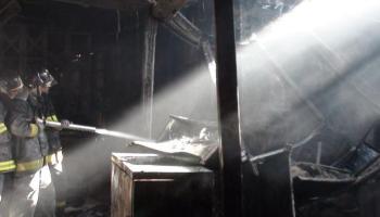 Incêndio no Instituto Butantan destrói exemplares de até 100 anos