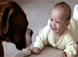 Cachorro retribui carinho de bebê