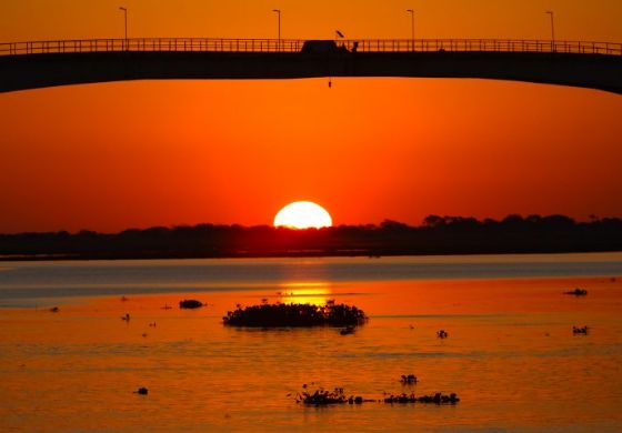 Alerta de Onda de Calor Extrema: Mato Grosso do Sul se Prepara para Temperaturas Recordes