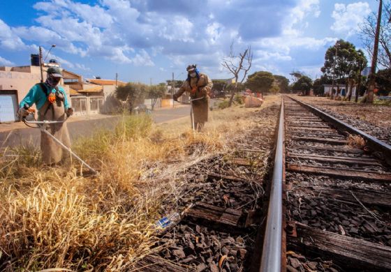 Prefeitura de Andradina volta a fazer a limpeza de área da ferrovia
