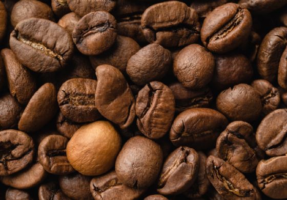 Café: Preço do robusta segue em alta