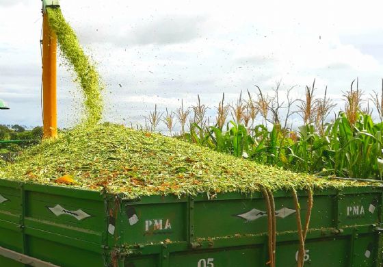 Governo de Andradina auxilia pequenos produtores por meio da Secretaria de Agricultura e Abastecimento