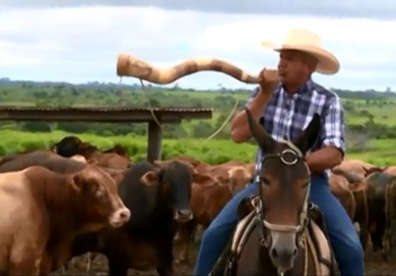 “Primeiro aprende a produzir capim. O boi vem depois”, aconselha pecuarista