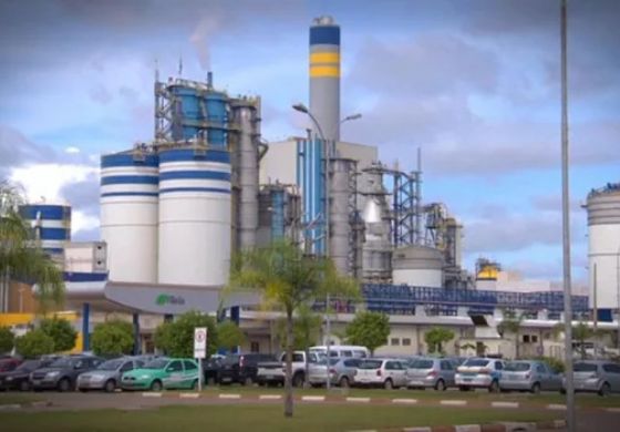 Suzano Investe Bilhões na Expansão de Produção de Celulose e Papel