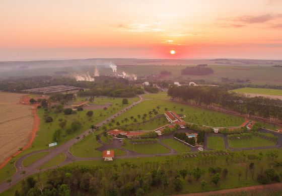 A Usina Santa Adélia: Líder no Setor Sucroenergético e Oportunidades de Carreira em Pereira Barreto