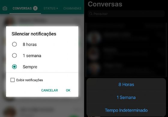 WhatsApp agora permite silenciar conversas e grupos para sempre; veja como fazer