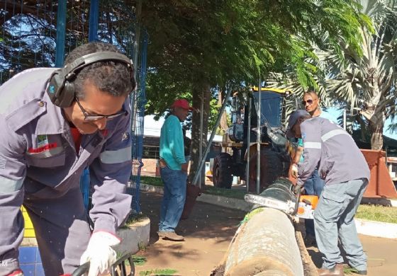 Brigada de Castilho e Defesa Civil unem esforços para evitar acidentes com coqueiros na praça da Matriz