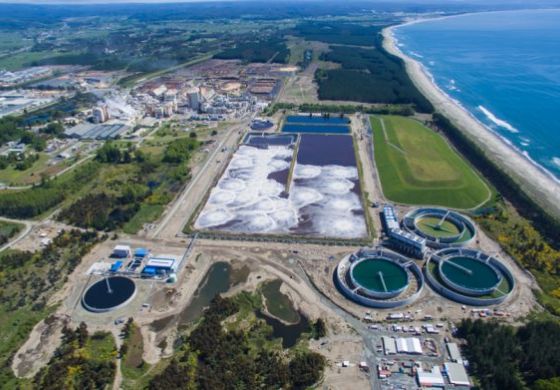 Arauco Anuncia Abertura de 400 Vagas em Nova Fábrica de Celulose com Contratação em Três Lagoas (MS)