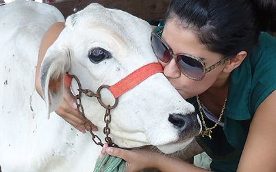 A mulher na Medicina Veterinária e na Zootecnia