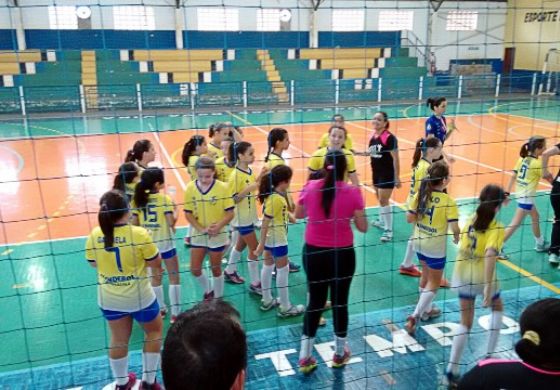 Andradina sedia rodada da liga de handebol neste sábado