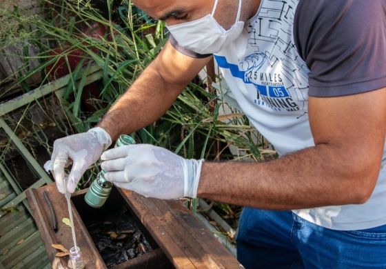 Focos de dengue são encontrados em ferros velhos em Andradina