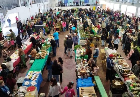 Feira de Sementes Crioulas promove sustentabilidade e geração de renda em Andradina no sábado