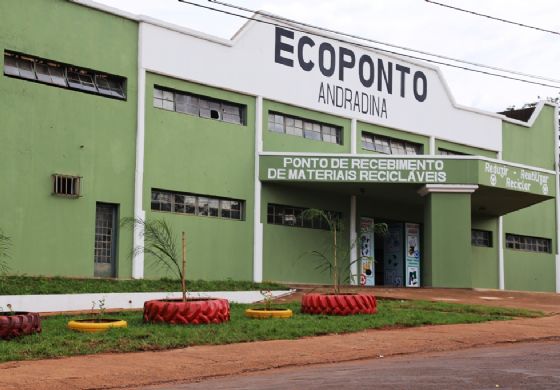 Governo de Andradina coleta pequenos animais mortos