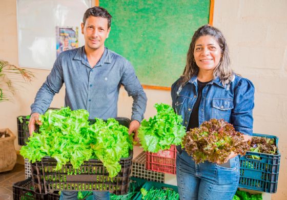 Secretaria de Agricultura tem sucesso na produção de hortaliças na areia