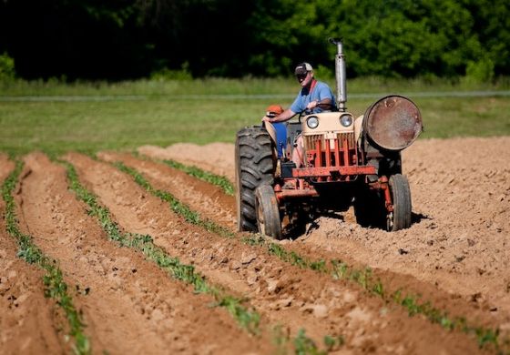 Secretaria de Agricultura faz ação conjunta do CAR  com o rotas rurais em Nova Independência