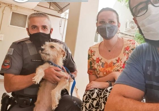 Andradina: cachorro vítima de maus-tratos é resgatado