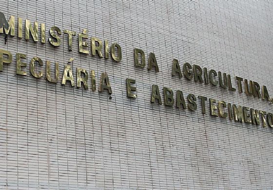 Ministério da Agricultura confirma casos de vaca louca em Mato Grosso e Minas Gerais