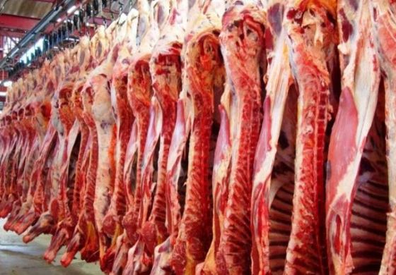 Exportações de carne bovina crescem em fevereiro