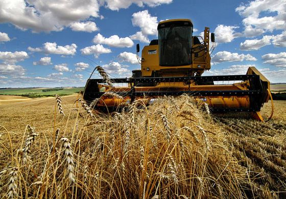 Ministério da Agricultura deve R$ 390 milhões às seguradoras