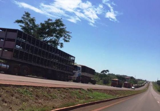 Protesto de caminhoneiros afeta comércio de carnes, diz a ABPA