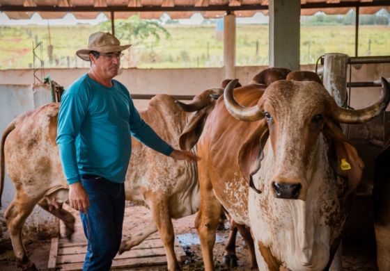 Secretaria de Agricultura dá assistência para melhoria genética de rebanho leiteiro em Andradina