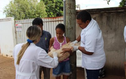 Vacinação antirrábica atinge 9,6 mil cães e gatos em Andradina