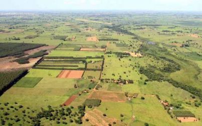 Produtores rurais devem apresentar talões para cumprimento do Dipam em Andradina