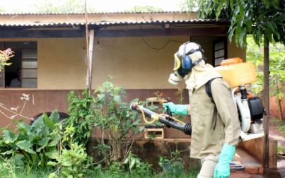 Andradina, Ilha Solteira e Pereira tem epidemia de dengue; um morre em Guaraçaí 