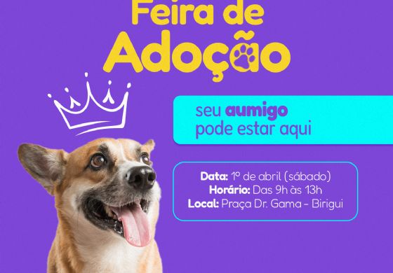 ViaRondon realiza feira de adoção de animais em Birigu